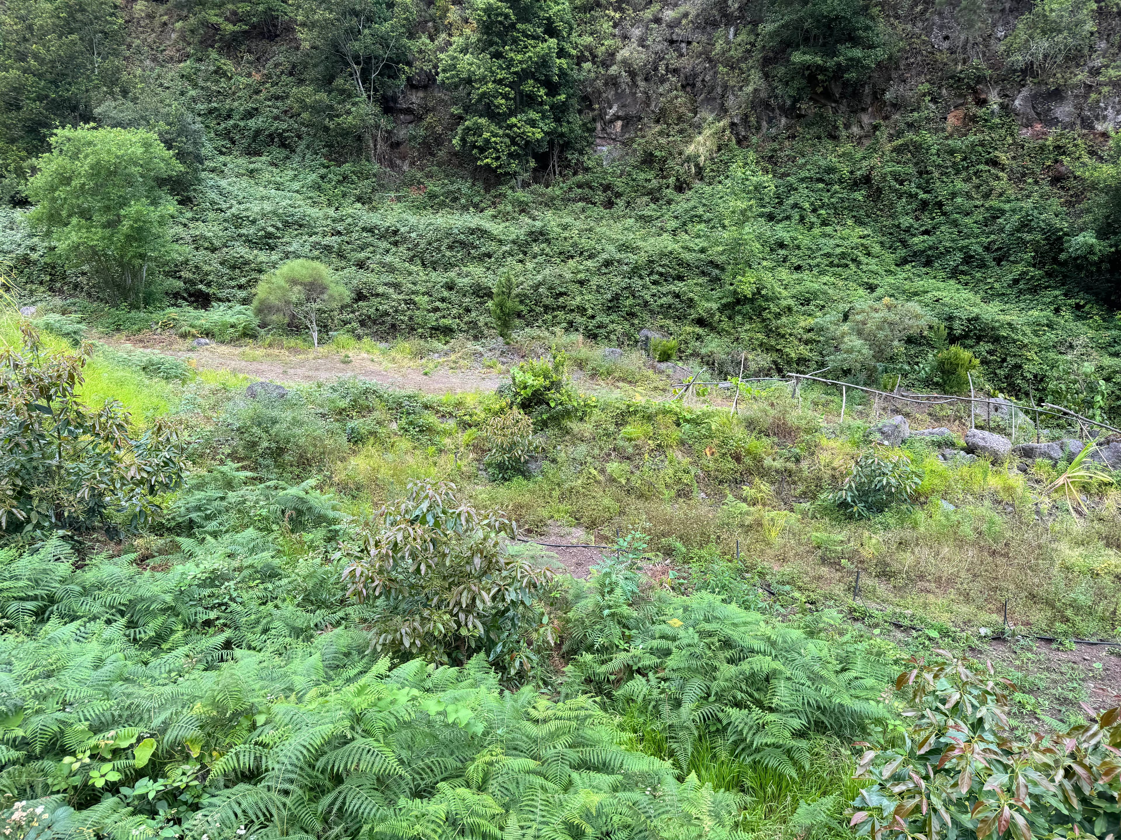 Barranco de La Herradura