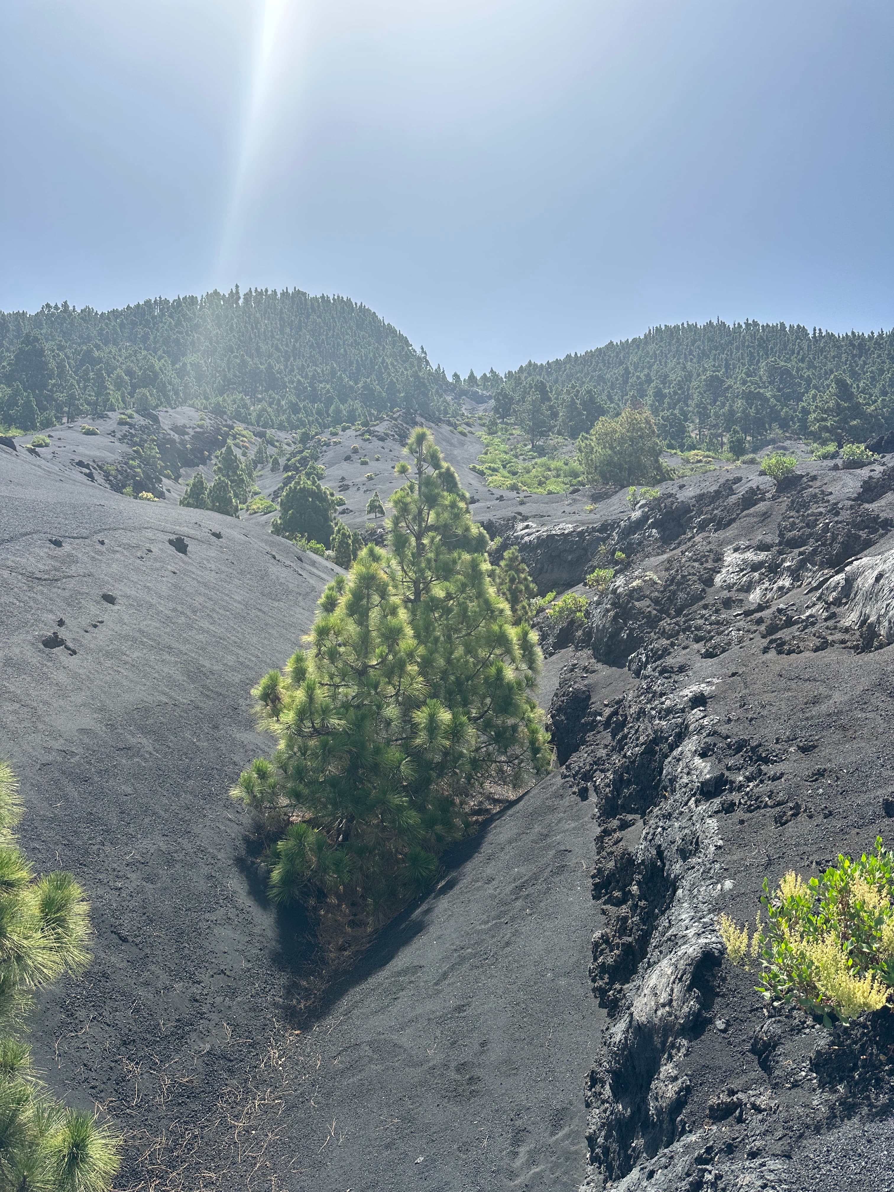 Canal de Lava de San Juan