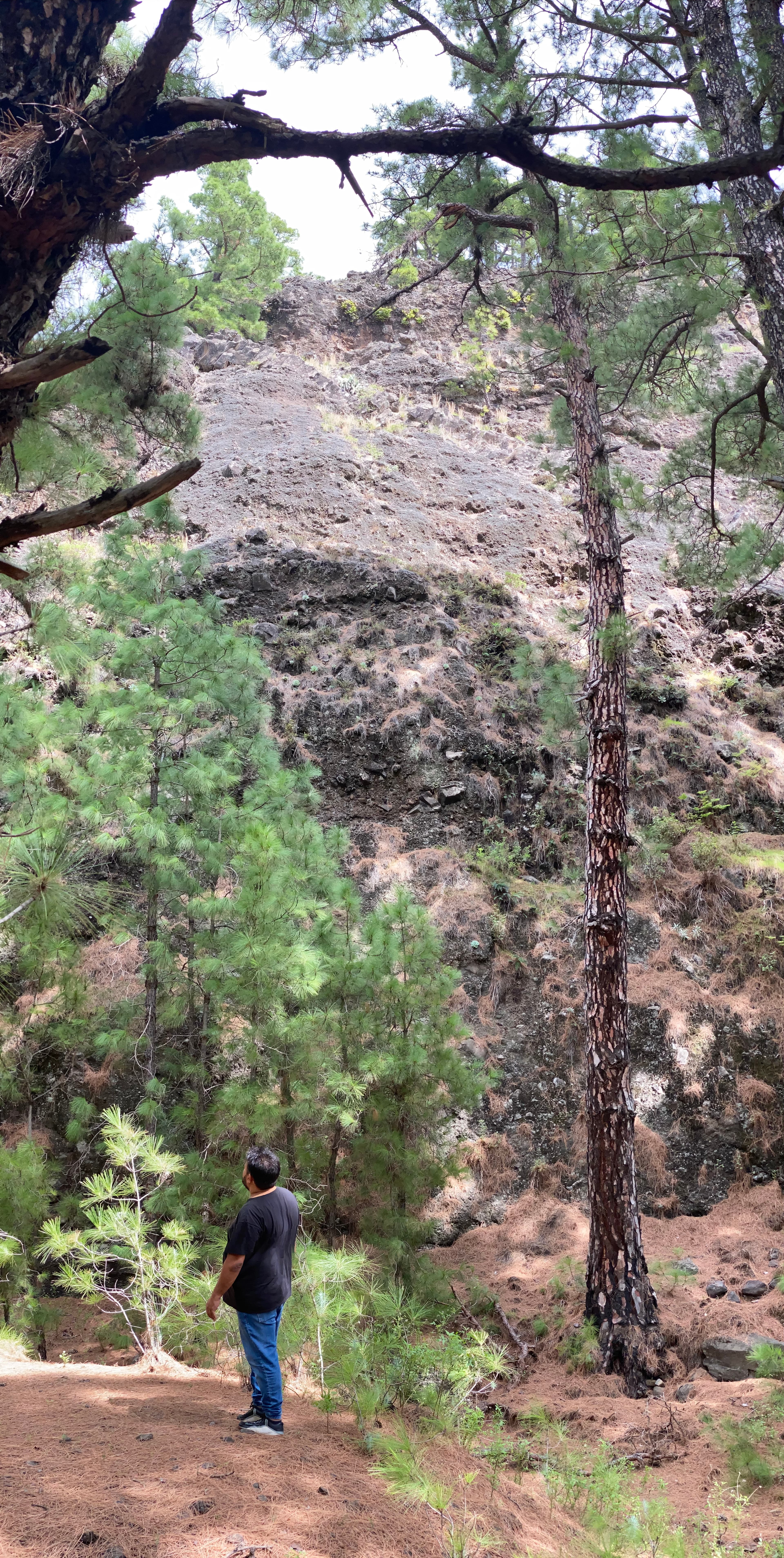 La Cumbrecita — Stream
