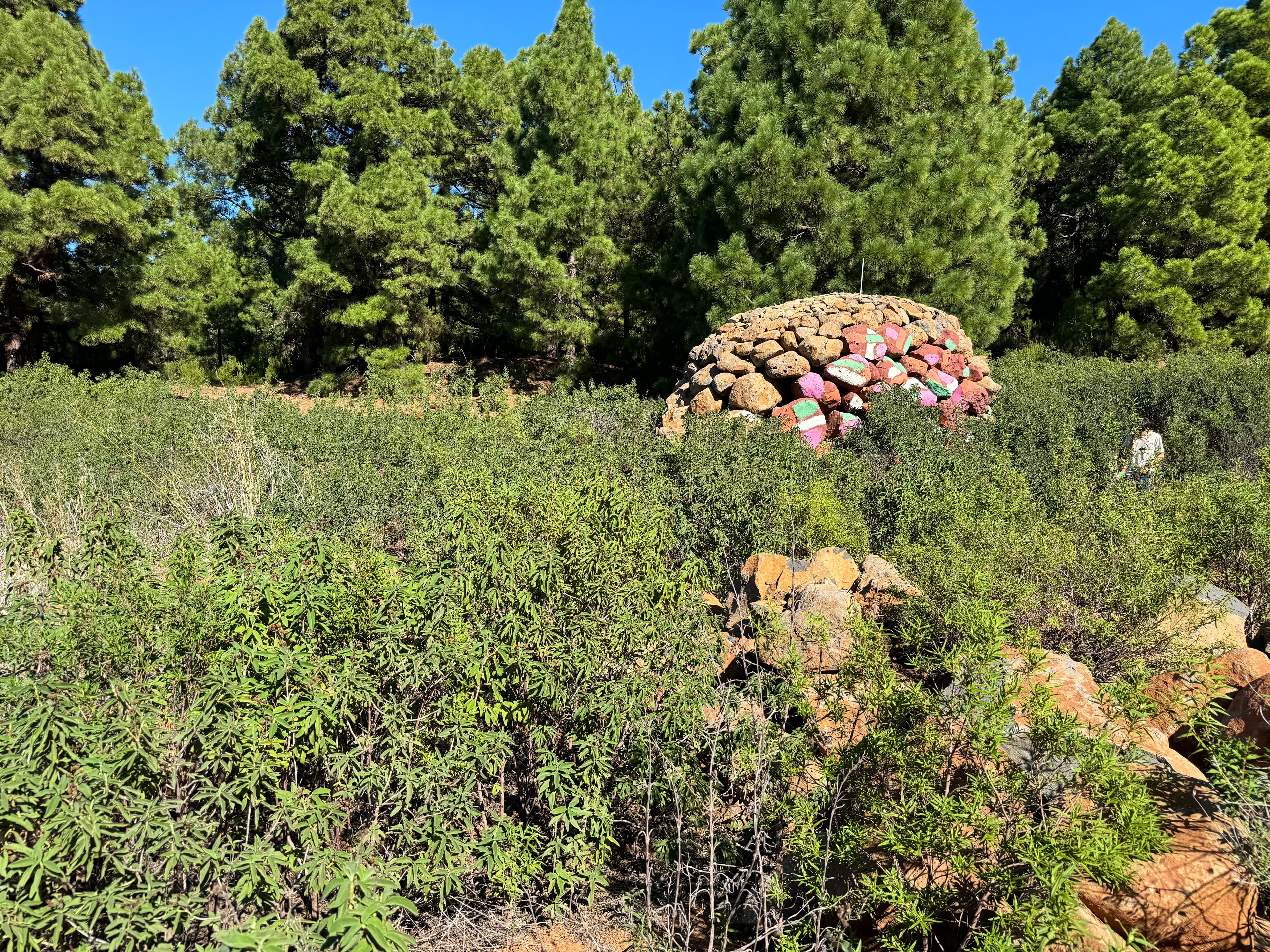 Piedras de Ibarrola