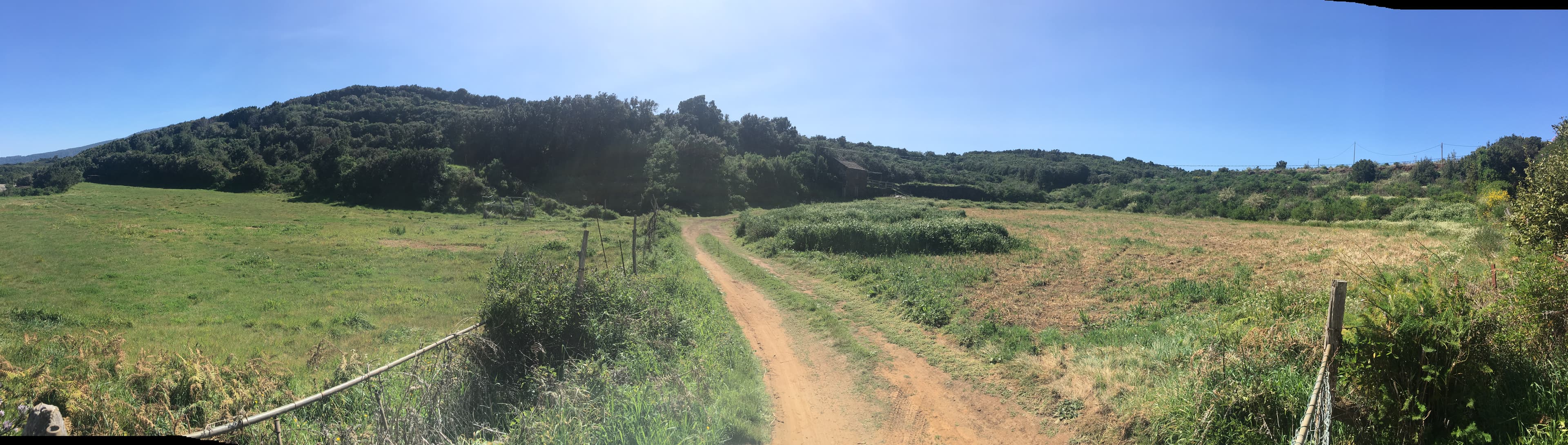San Antonio del Monte