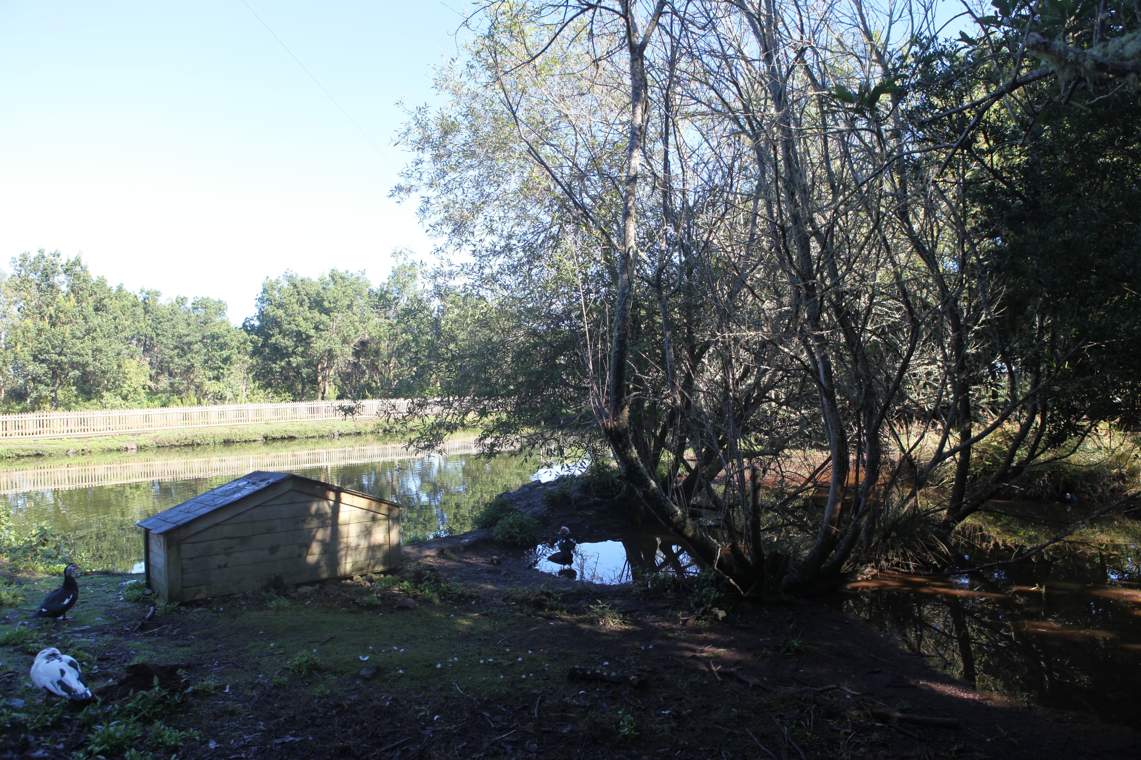 Laguna de Barlovento